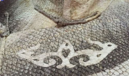 鱼皮衣,传统工艺与现代时尚的交融之旅